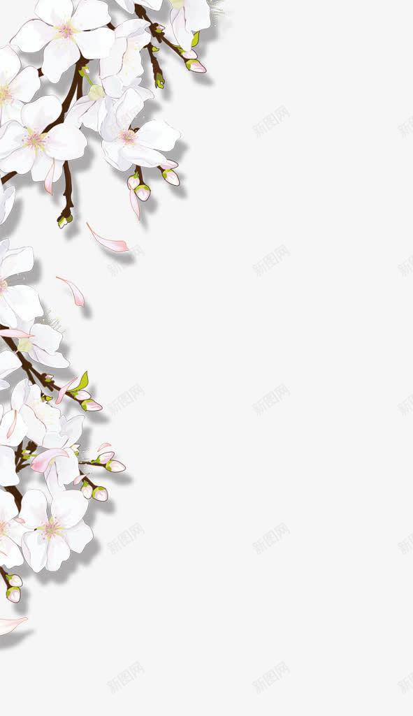 白色手绘简约花朵png免抠素材_88icon https://88icon.com 白色 简约 花朵
