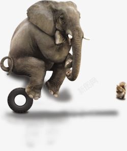 创意大象大象冥想高清图片