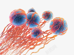 3D细胞模癌症细胞电脑制图高清图片