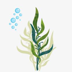 海洋植物背景图绿色海草植物泡泡高清图片