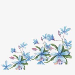 蓝色藤蔓蓝色鲜花高清图片