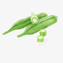 蔬菜水彩画秋葵手绘画片高清图片