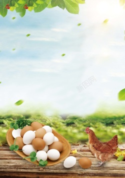 鸡蛋产品宣传册绿色食品农家土特产海报背景模板高清图片