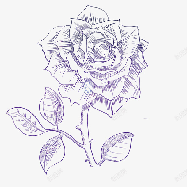 素描玫瑰花png免抠素材_88icon https://88icon.com 平面设计 手绘设计 植物设计 玫瑰纹身 玫瑰花 玫瑰花简笔画 矢量文件 素描设计