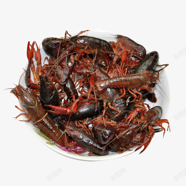 新鲜的小龙虾实物图png免抠素材_88icon https://88icon.com 大海 实物图 小龙虾 新鲜的 沙滩 海鲜 美味的