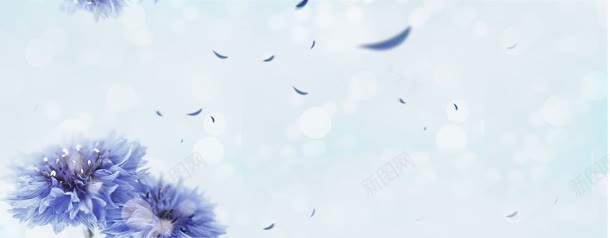 梦幻花朵背景jpg设计背景_88icon https://88icon.com 婚礼 花朵背景 蓝色背景