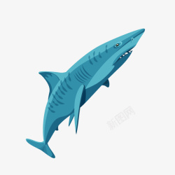 卡通装饰海洋生物海报鲨鱼素材