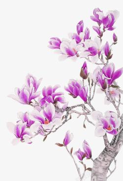 紫色手绘玉兰花装饰图案素材