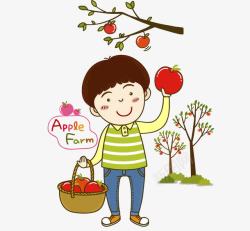 摘苹果摘苹果的男孩高清图片