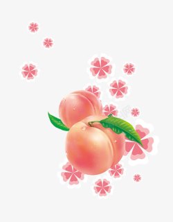 茶朵新鲜的水蜜桃高清图片