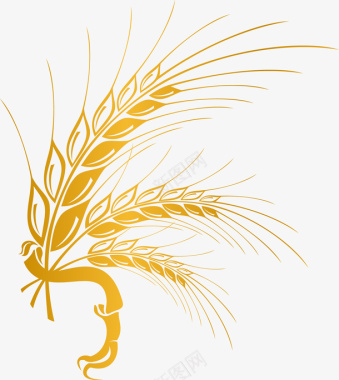 手绘金色麦子图标图标