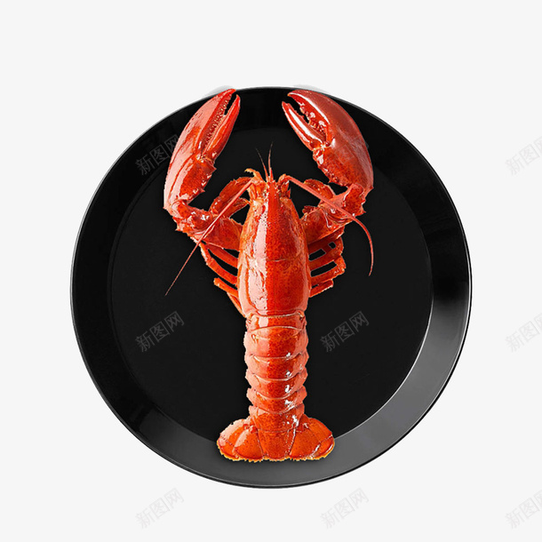 小龙虾美食广告png免抠素材_88icon https://88icon.com 海鲜食品 澳洲龙虾 美味虾子 虾子设计 麻辣虾 龙虾设计