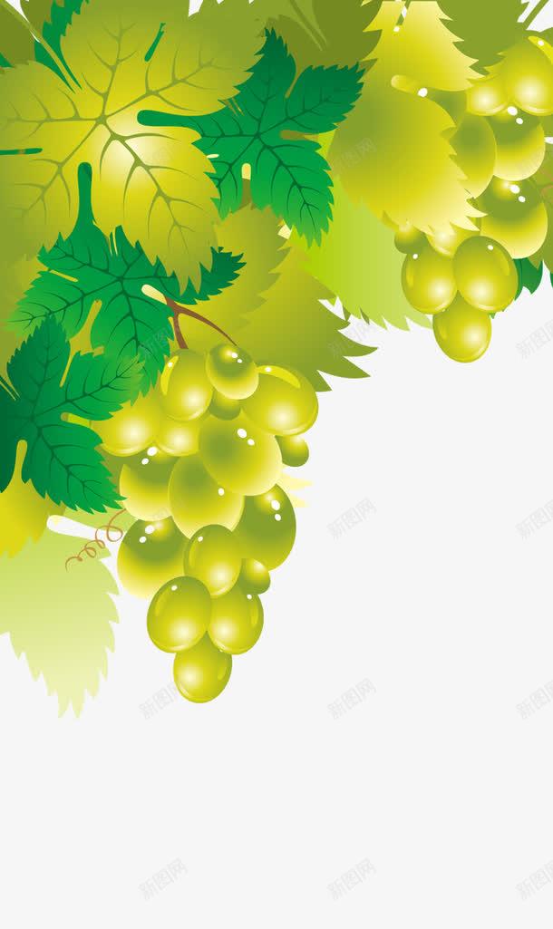 绿色葡萄展架模板png免抠素材_88icon https://88icon.com X展架设计 x展架 展架 水果 海报素材 炫彩展架 绿色 葡萄
