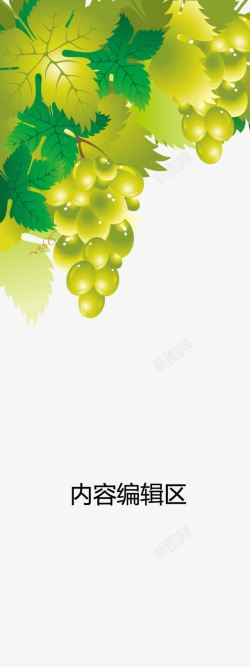 水果展架绿色葡萄展架模板高清图片