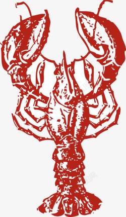 甲壳动物红色小龙虾高清图片