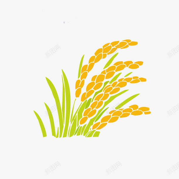 水稻矢量图ai免抠素材_88icon https://88icon.com 丰收 卡通设计 植物 水稻设计 立秋 食物设计 矢量图