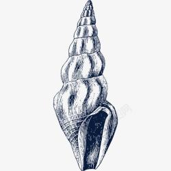 贝壳花纹手绘黑色尖海螺图标高清图片
