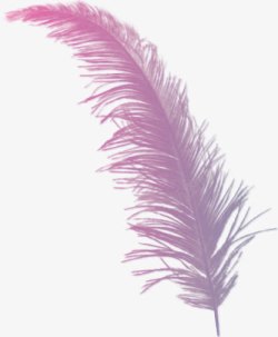 创意翅膀羽毛翅膀紫色唯美素材