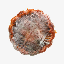 腐烂一个发霉的中秋季月饼高清图片
