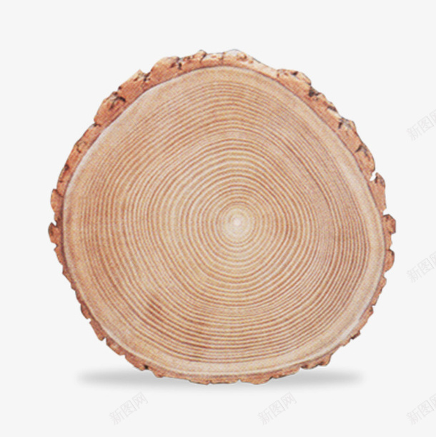 木纹橡木材质png免抠素材_88icon https://88icon.com 免抠PNG 木墩 木材 木纹 橡木 橡木树