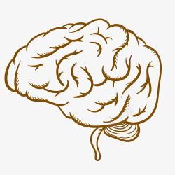 脑血管免抠图大脑血管卡通创意图高清图片