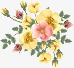 手绘水彩黄色的蔷薇花素材