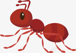 蚁勤劳的小蚂蚁高清图片