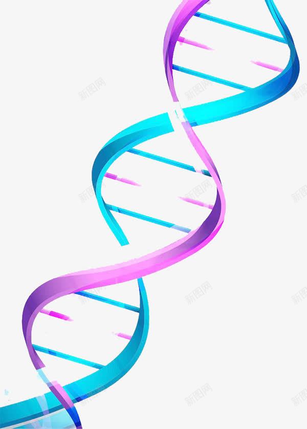 可爱彩色DNA双螺旋基因链png免抠素材_88icon https://88icon.com DNA双螺旋 PPT元素 医药 基因 实验 科研 遗传
