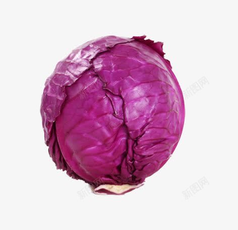 紫甘蓝png免抠素材_88icon https://88icon.com 十字花科 紫色的包菜 红甘蓝 蔬菜类 赤甘蓝