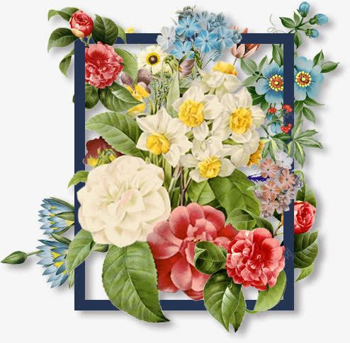 花季png免抠素材_88icon https://88icon.com 各种花类 时装装饰物 框框 水彩花卉 水彩花朵 白色的花 红色的花 蓝色的花