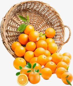 橙子叶手绘一筐新鲜橙子高清图片