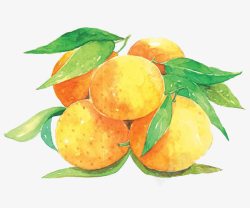 逼真水果矢量图五只柑橘手绘高清图片