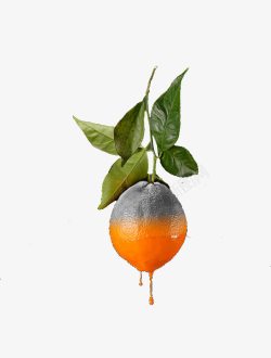 创意水果平面橘子素材