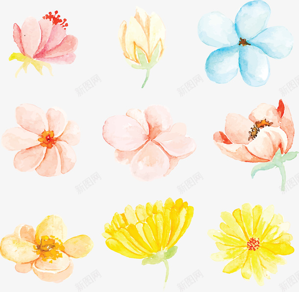 五彩水彩手绘花朵矢量图ai免抠素材_88icon https://88icon.com 五彩花朵 手绘春花 春天 春花 水彩春花 矢量png 矢量图