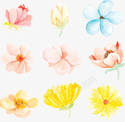 五彩水彩手绘花朵矢量图素材