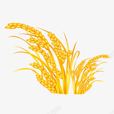 小红花插图金色水稻图标图标