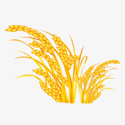 粮食图标金色水稻图标高清图片