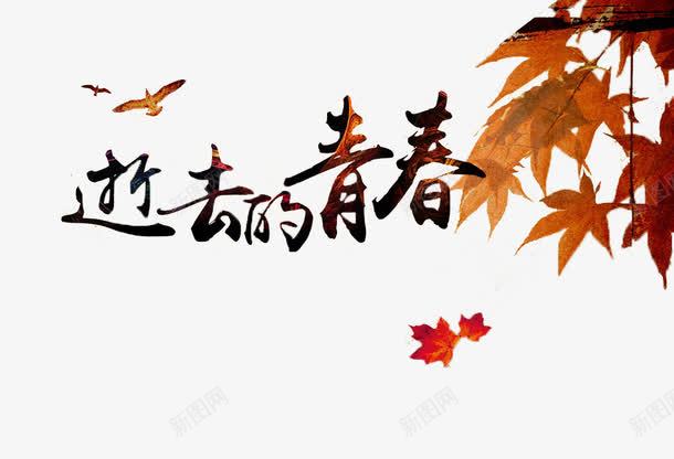 致青春五四展板png免抠素材_88icon https://88icon.com 五四青年节 感伤 枫叶 秋叶 致青春 逝去的青春 黄昏