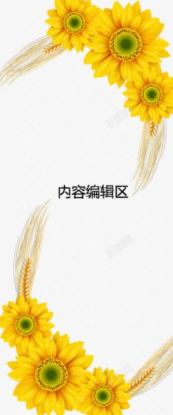 小麦向日葵花展架模板素材