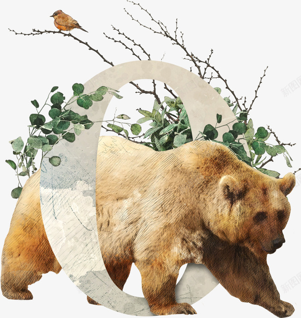 动植物英文字数字0png免抠素材_88icon https://88icon.com 动物 数字 植物 英文 高清