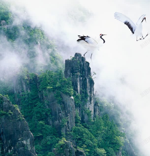 仙鹤山水淘宝山水配景png免抠素材_88icon https://88icon.com 仙鹤山水淘宝素材山水配景