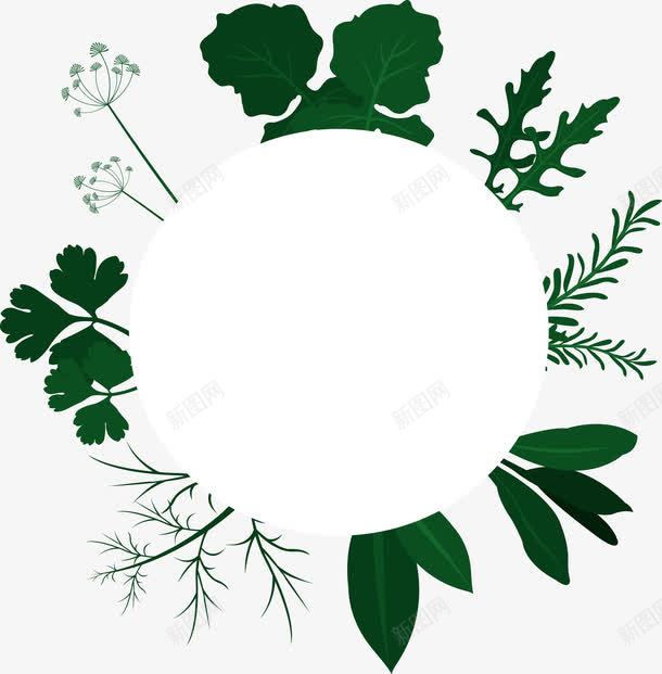 绿色的草药边框png免抠素材_88icon https://88icon.com 中草药 新鲜草药 矢量png 纯植物 绿色植物 草药标题框