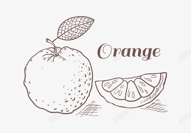 手绘素描橙子png免抠素材_88icon https://88icon.com orange 手绘橙子 橙子 水果 素描 线稿