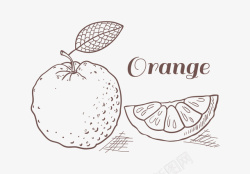 水果素描手绘素描橙子高清图片