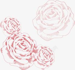 手绘线条玫瑰花素材