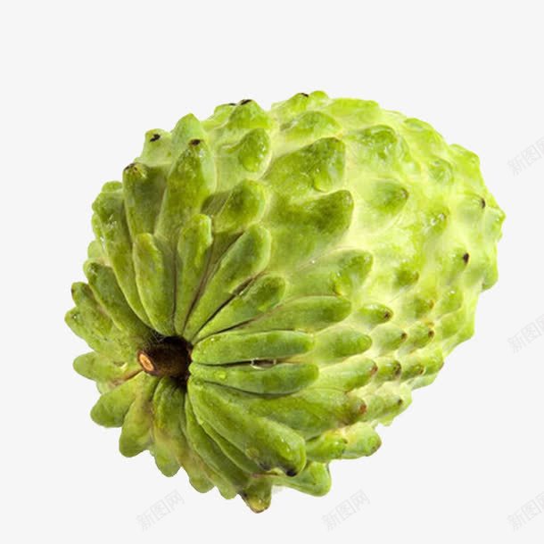 一个释迦果png免抠素材_88icon https://88icon.com 新鲜佛头果 水果 绿色 美食 释迦牟尼果