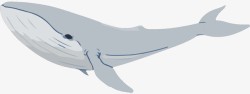 简约北欧风手绘鲸鱼素材