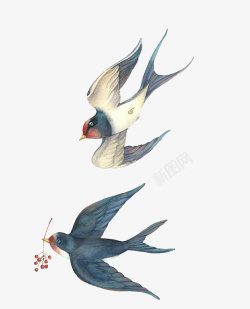 美丽的翅膀飞翔的燕子水墨画高清图片