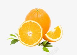 香橙水果素材