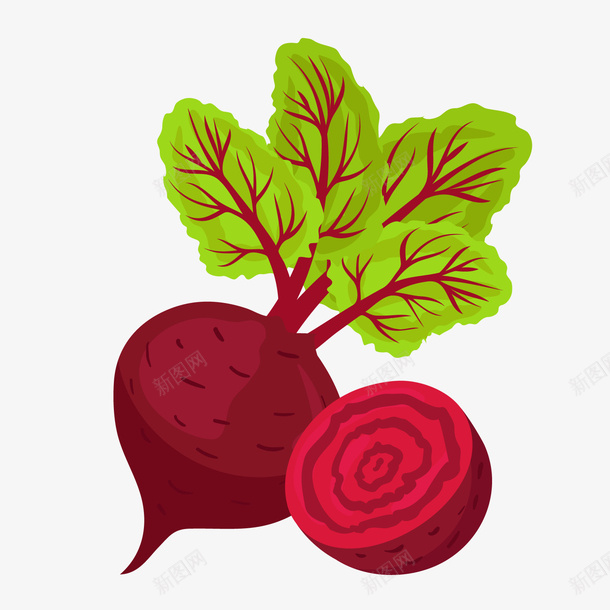 一个手绘的红菜头矢量图ai免抠素材_88icon https://88icon.com 扁平化 沙拉 甜品 甜菜头 红色 红菜头 美味 蔬菜 矢量图
